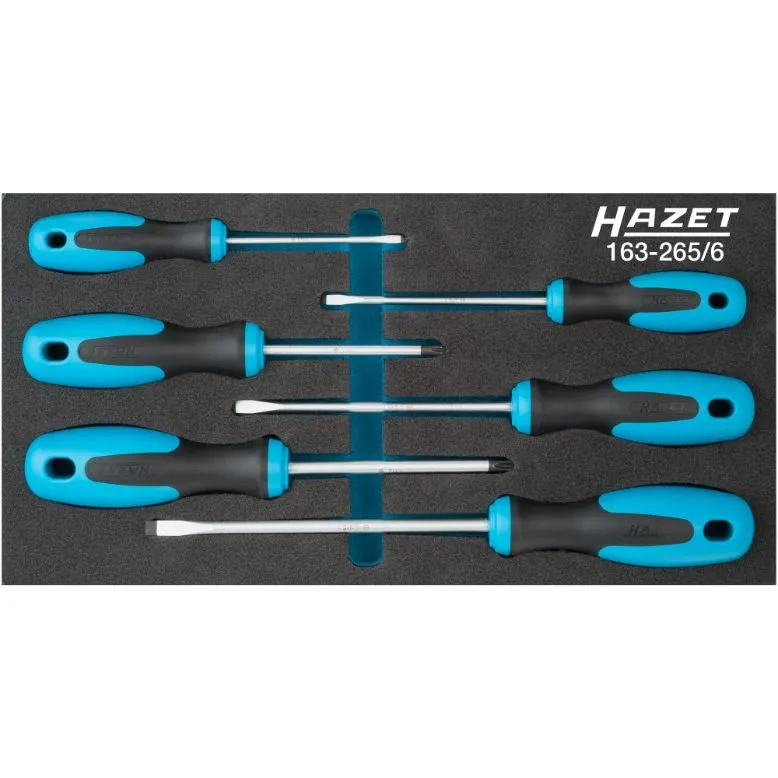 HAZET 163265/6 GEREEDSCHAPSET IN INLEG